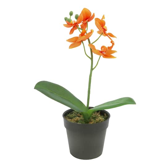 10&#x22; Potted Orange Orchid Plant by Ashland&#xAE;